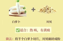 止咳最快的偏方白萝卜煮水，白萝卜止咳的方法