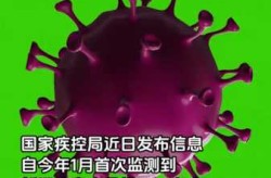 2023北京又有新病毒了吗（北京病毒最新消息）
