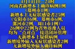 河南新增4例本土确诊病例详情，河南新增本土病例1个