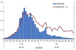 新冠疫情感染人数统计图，新冠最终感染人数