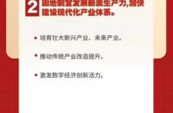 2025全国  政策是否出台（2025年我们国家）