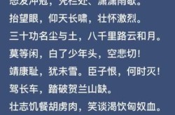 俱怀逸兴壮思飞下一句，俱怀逸兴壮思飞全诗