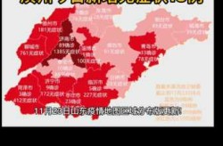 山东疫情最新情况分布图地图（山东传染病疫情最新）