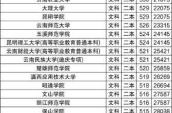 云南大学录取分数线2021，云南大学排名一览表及分数线