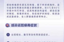 最近病毒高发期是哪个病毒 诺如病毒（诺如病毒高发期）