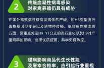 2024年将爆发新瘟疫吗，2024年疫情还会严重吗