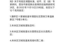西安新增1个高风险区和3个中风险区的区别，临界风险怎么造成的