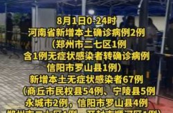 河南一地新增2例本土无症状（河南新增本土病例1个）