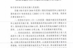 哈尔滨公告非必要不离哈，哈尔滨市区允许外地车进入吗