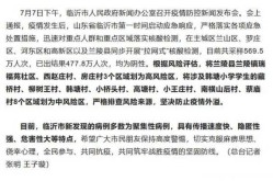 临沂疫情2020时间，疫情是2019年几月份开始的