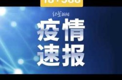 31省份增本土确诊101例，31省新增本土90例