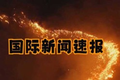 今天国际最新消息新闻，最新重大国际新闻