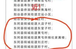 聊城疫情最新消息今天，聊城疫情最新消息今天新增