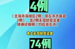 广西新增本土确诊病例72例最新消息，广西新增病例最新消息