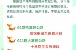端午节免过路费吗高速2021（为什么端午节高速不免费）