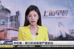 南京问责多人 为何机场董事长停职（南京禄口机场原董事长）