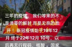 解封后第一波疫情什么时候开始的（去年疫情什么时候解封的）