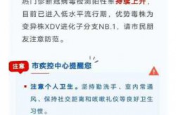 2024疫情最新消息今天（2025新冠最新消息今天）
