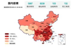 疫情最新消息 全国 数据地图（山东疫情最新消息2019）