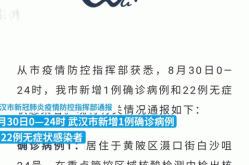 31省区市新增本土确诊19例（武汉新增确诊）