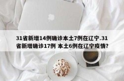 31个省份新增17例，31省区市新增多少例新闻