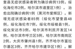黑龙江新增本土确诊26例均在黑河，黑龙江新增40例确诊 50例无症状