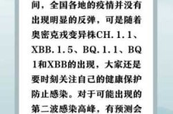 疫情第二波感染高峰期是真的吗（第二波感染高峰什么时候来）