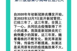 疫情第二波感染高峰期过去了吗（春节疫情高峰期是会二次感染吗）