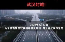 2025年春节疫情封城，2025全国封城已成定局了吗