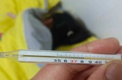 2024最近发烧人数增加 原因（2024最近发烧）