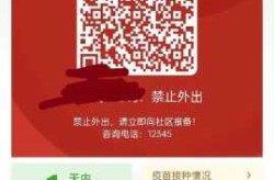 打12345可以咨询健康绿码吗（健康码咨询服务电话）