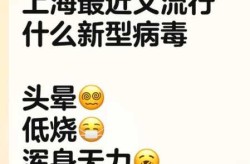 上海一地升为中风险，上海最近的病毒感染是什么情况