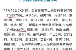 广东新增17例本土确诊病例，广东昨日新增本土确诊病例