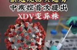世界新冠2025年3月1人数（2025新冠最新消息今天）