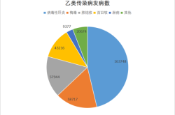 2024年全球传染病大流行（全球传染病大流行的历史）
