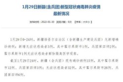 新疆新增本土确诊病例70例是哪里的，新疆爆发的什么病