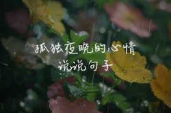 适合男人深夜孤独寂寞的句子（深夜高情商男人发的句子）
