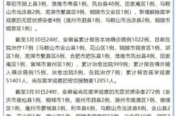 安徽累计报告4例本土确诊病例（安徽新增确诊病例60例）