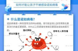 2025年北京病毒爆发，2025诺如病毒爆发地区