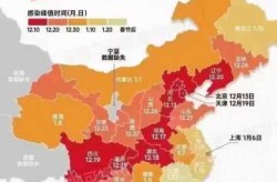 全国疫情高峰感染高峰进度查询（中国疫情情况最新今天）