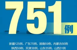 31省新增确诊75例本土55例，全国新增本土病例最新消息