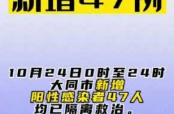今天疫情最新城市排名，今年疫情最严重的城市
