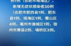 31省区市新增本土确诊2例 在安徽（31省区市新增本土确诊病例30例）