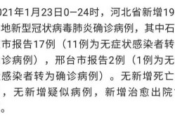 全国新增3例本土新冠病例，31省新增本土确诊病例20例
