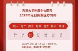2025年元旦病毒爆发都有啥啊（2025年疫情吗）