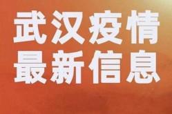 武汉昨日新增本土无症状15例（武汉最严重的时候一天新增多少例）