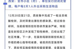 19天确诊810例 西安疫情感染咋发生的，西安最新消息今天疫情