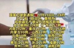 31省新增本土确诊2204例（31省份新增本土确诊90例）
