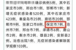 河北新增19例本土无症状病例，河北新增90例本土确诊