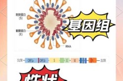 新型冠状病毒最新全球最新消息（全球新型冠最新消息）